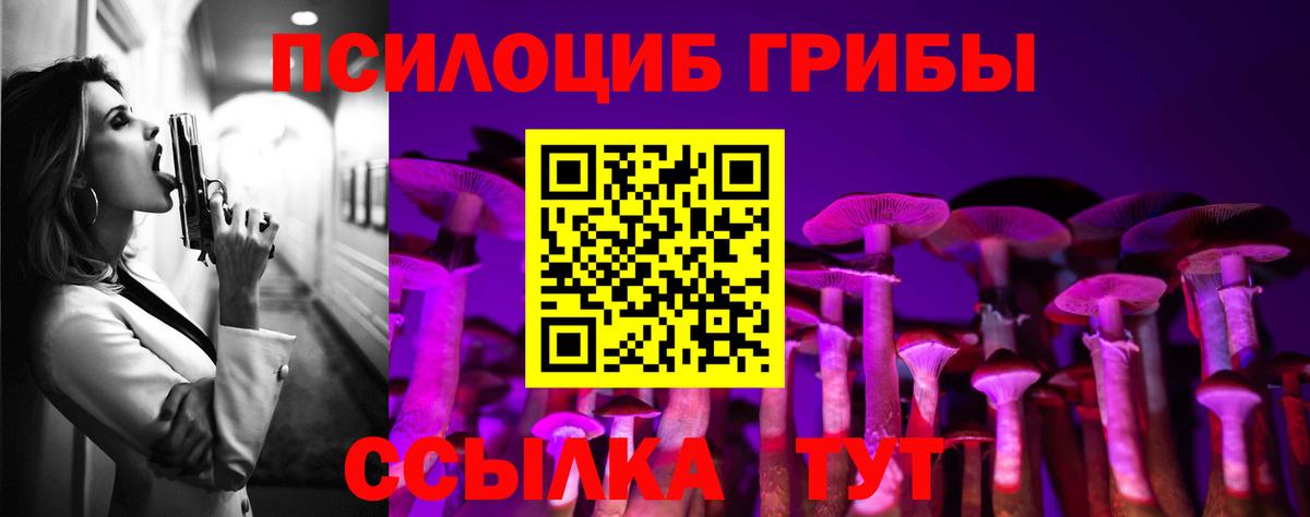 Камень-на-Оби  Псилоцибиновые грибы Cubensis  дарнет шоп  Вход с VPN 